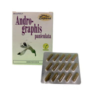 Andrographis paniculata, Kalmegh auch indische Echinacea mit Andrographolide von Espara