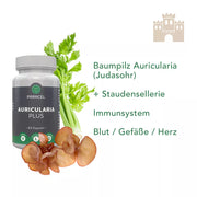 Auricularia auricula judae Pilz mit Stangensellerie Extrakt