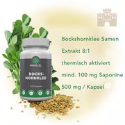 Bockshornklee aktiviert Kapseln Tabletten als Nahrungsergänzungsmittel