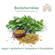 Bockshornklee Extrakt Kapseln aus Boxhornkleesamen sind vegan, glutenfrei und lactosefrei