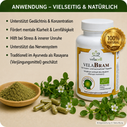 VelaBram Brahmi Kapseln mit Bacopa monnieri – Anwendung und traditionelle Bedeutung von Brahmi im Ayurveda bei NaturBurg