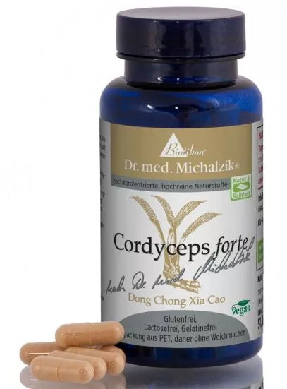 Cordyceps forte Extrakt 100 Kapseln 400 mg