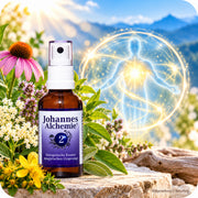 Johannes-Alchemie® Nr. 2 Immunsystem – Bildgestaltung zum Thema Immunsystem, innere Stärke und Stabilität mit energetischer Darstellung bei NaturBurg