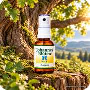 Johannes-Blüte Nr. 9 Aurum 50 ml alkoholfreie Blütenessenz von Johannes-Wasser® vor einem großen kräftigen Baum – Symbol für innere Kraft, Wachstum und Beständigkeit bei NaturBurg