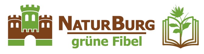 Grüne Fibel