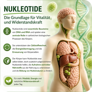 Colon & Cell + Nukleotide 60 Kapseln