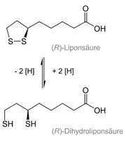 R-Alpha-Liponsäure 60 Kapseln