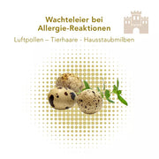 Die kleinen Wachteleier sind gesund. enthalten viele Vitamine und Mineralstoffe