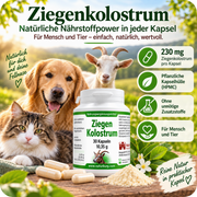 NaturBurg Ziegenkolostrum 30 Kapseln mit 230 mg Ziegenkolostrum pro Kapsel, pflanzlicher HPMC-Kapselhülle und ohne unnötige Zusätze