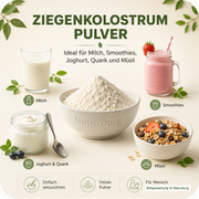 NaturBurg Ziegenkolostrum Pulver 100 g in einer Schale, umgeben von Milch, Erdbeer-Smoothie, Joghurt, Quark und Müsli als Beispiele zum Einrühren, Bildgestaltung © NaturBurg.