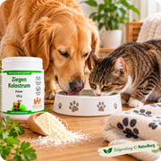 NaturBurg Ziegenkolostrum Pulver 100 g – Golden Retriever und getigerte Katze an einem gemeinsamen Napf, daneben Ziegenkolostrum-Pulver in einer Holzschaufel und die Produktdose. Bildgestaltung © NaturBurg.